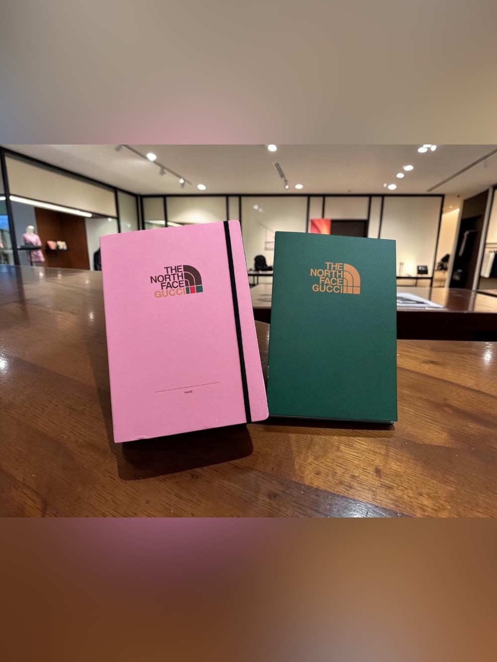 Gucci The North Face Pink and Green Notebook Set